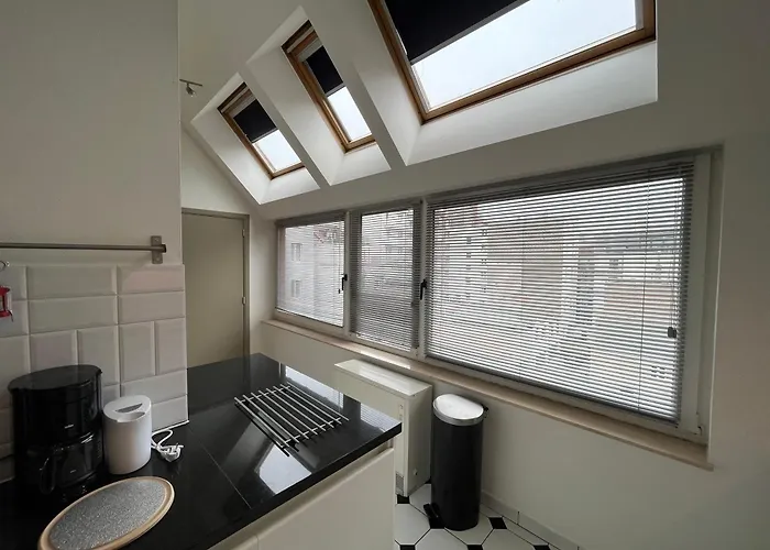 Penthouse De Vaughan -luxe Met Zeezicht 奥斯滕德